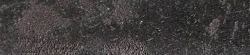 ベルト　革　ペイントレザー（ブラック）